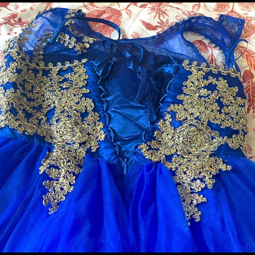 Nice Girls Size 14 Prom Dress
